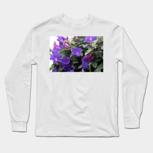 Spring Morning Glories in Blue Long Sleeve T-Shirt